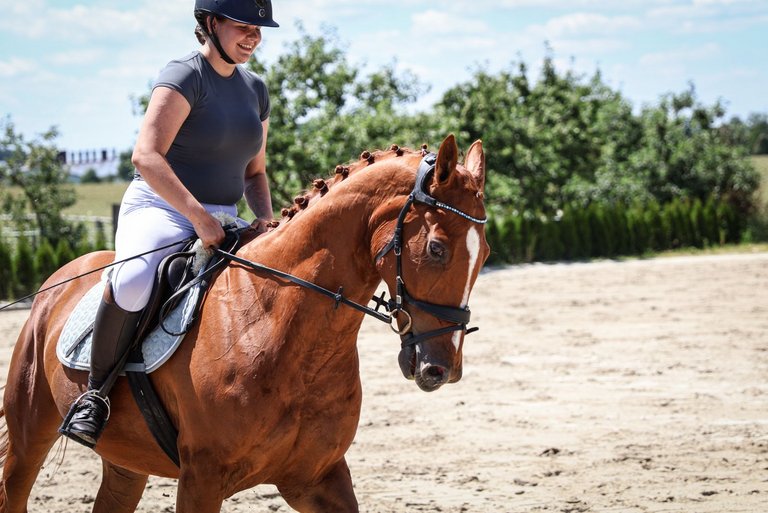 2025_06_DIV_Vergleichsturnier_Reitsport__5_.jpg 