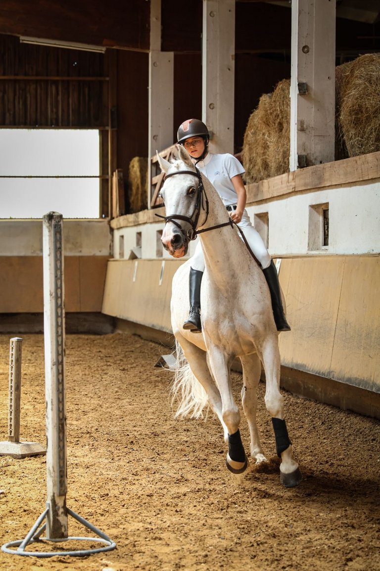 2025_06_DIV_Vergleichsturnier_Reitsport__17_.jpg 