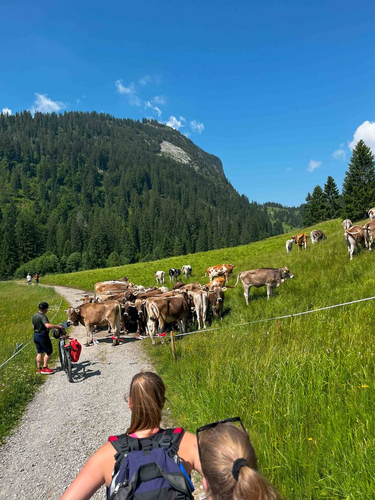 2025_Wandern_Allgäu__11_.jpg 