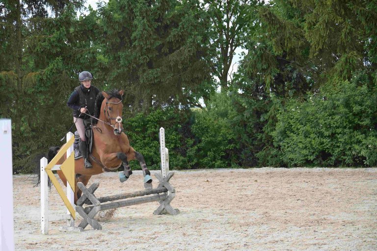 2026_06_DIV_Reitturnier__7_.jpg 