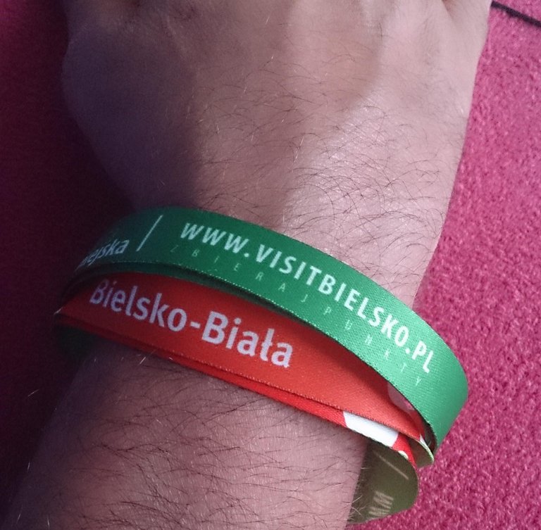 2015_06.08.-16._Polenfahrt_mit_Klasse_10__134_.JPG 