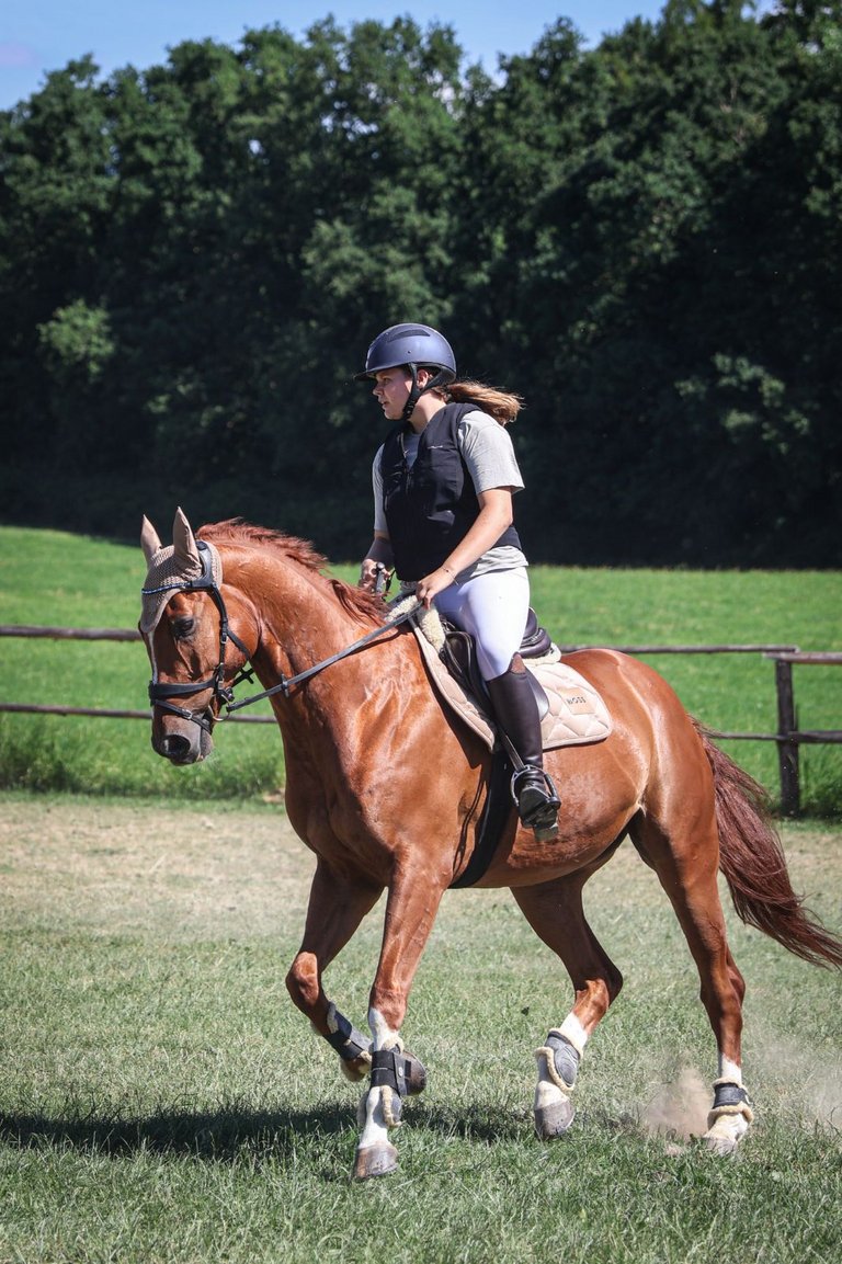 2025_06_DIV_Vergleichsturnier_Reitsport__3_.jpg 