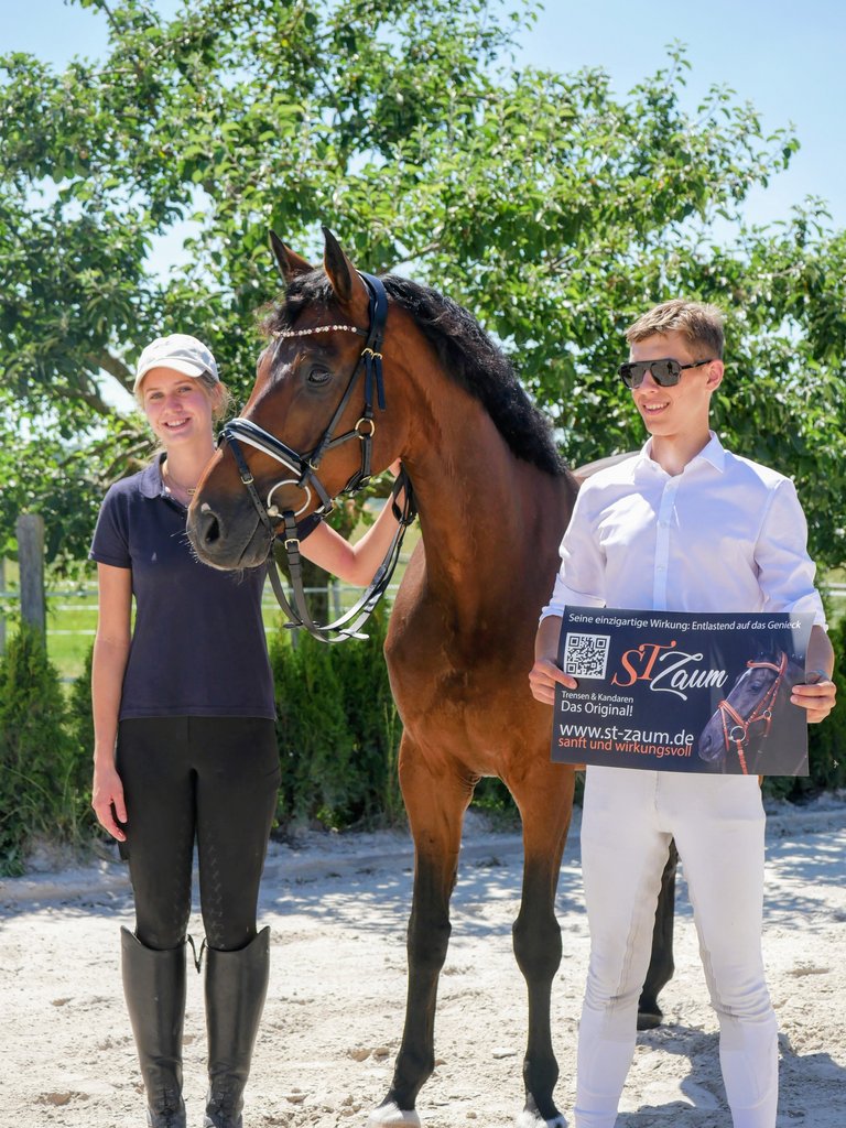 2025_06_DIV_Vergleichsturnier_Reitsport__1_.jpg 