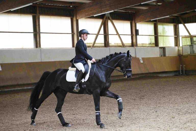 2026_06_DIV_Reitturnier__5_.jpg 