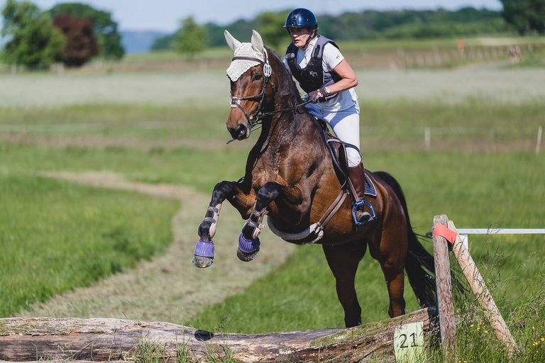 Vielseitigkeitslehrgang_Reitsport__2_.jpeg 